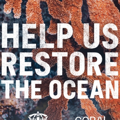 Corona rallies support to save endangered coral reefs with page turning creative