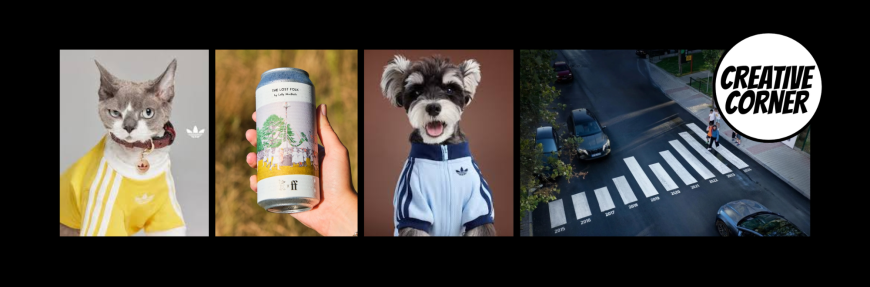 Creative Corner: dogs decked out, cans of literature and sobering crosswalks