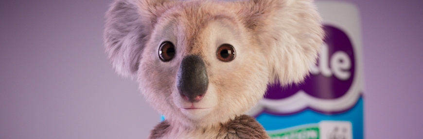 Cushelle launches charity partnership with WWF in a bid to save koalas