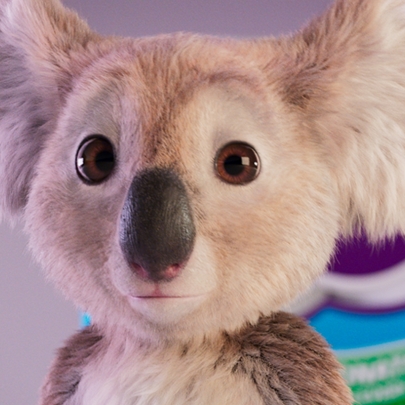 Cushelle launches charity partnership with WWF in a bid to save koalas