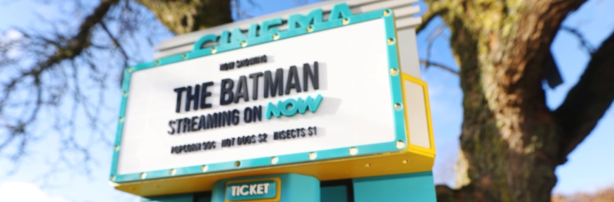 Give a bat a home this Christmas with a ‘bat box office’