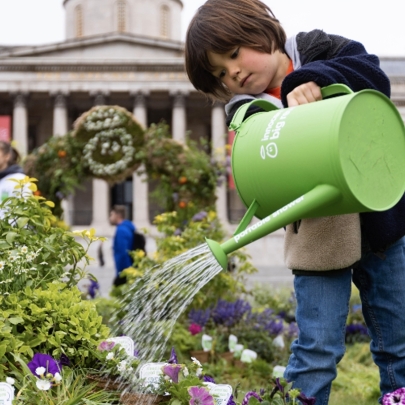 Innocent Drinks transforms Trafalgar Square into a wilderness to promote the benefits of biodiversity in urban spaces