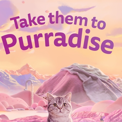 WHISKAS® celebrates cat happiness with six purrfect worlds