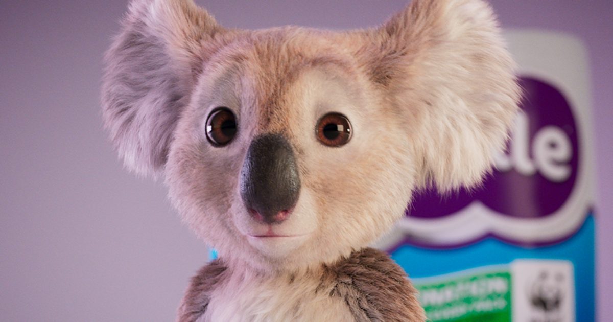 cushelle koala soft toy